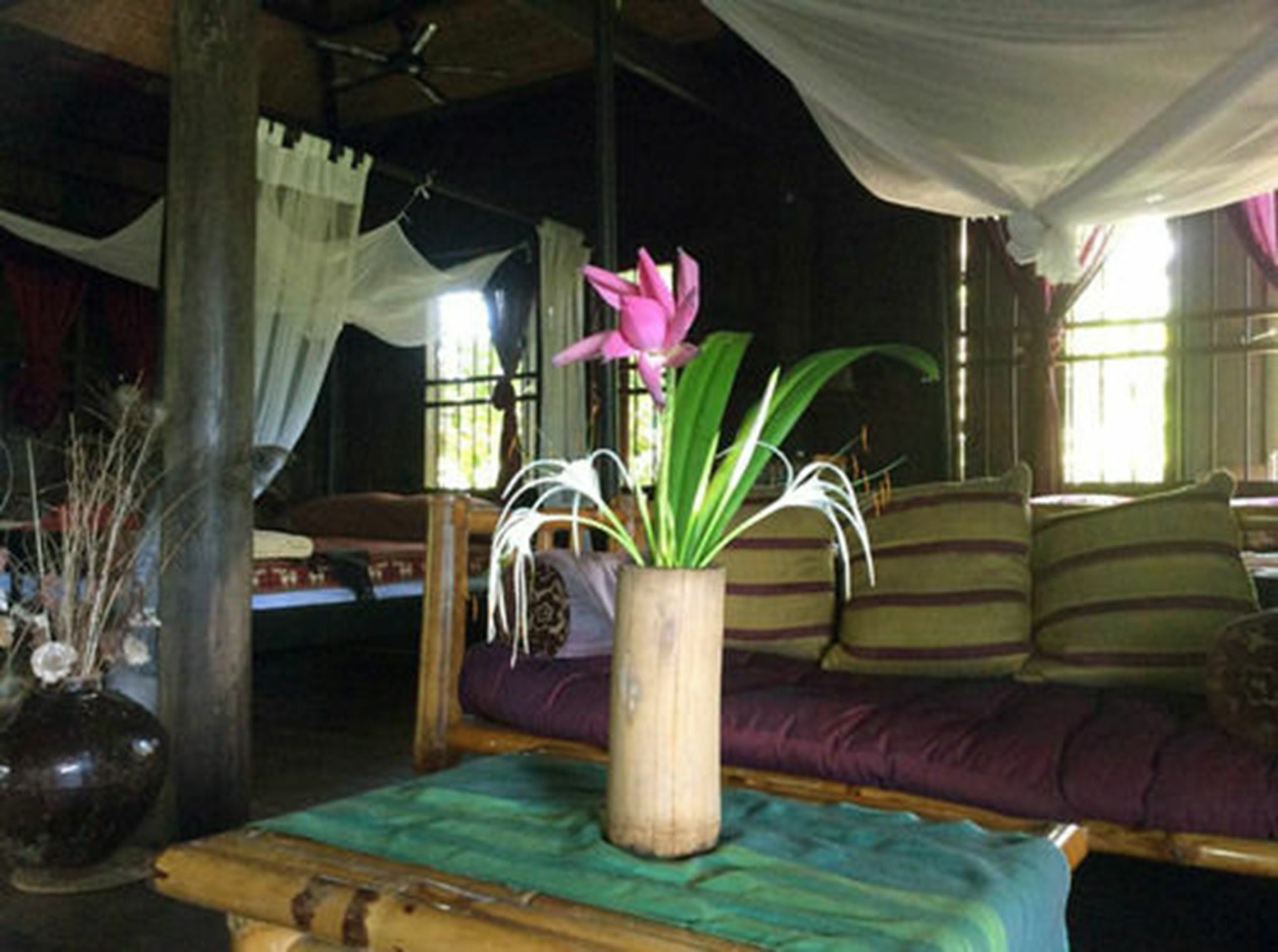 The Bong Thom Homestay Siem Reap Exteriör bild